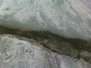 DSC05198.JPG