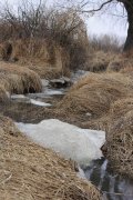 IMG_5322.jpg