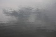 IMG_5381.jpg