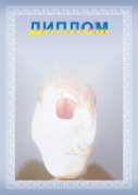 Diplom_011+..jpg