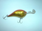 DSC01761.jpg