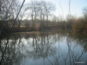 1-IMG_0010.JPG