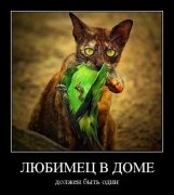 demotivatory_101_25_03_12_1386488.jpeg