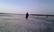 IMAG0641.jpg