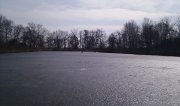 IMAG0648.jpg
