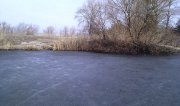 IMAG0650.jpg