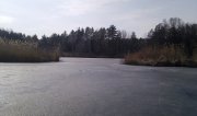 IMAG0652.jpg