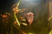 DSCN1109.JPG