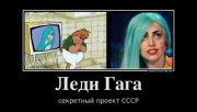 51396289_ledi-gaga-.jpg