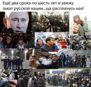 post-496-1331311029.jpg