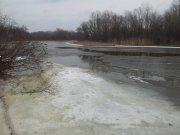 20120329_122446.jpg