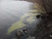 20120329_125816.jpg