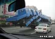 1179560850_trucks[1].jpg