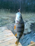29032012178.jpg