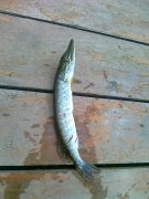 29032012179.jpg