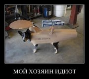 x_3917ebb5.jpg
