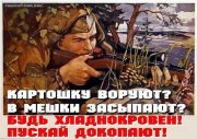 картоха.jpg
