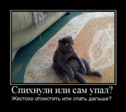 1332958501_demotivatory_na_sredu_31_foto_31.jpg