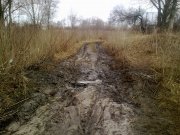30032012439.jpg