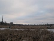 IMG_4198.jpg