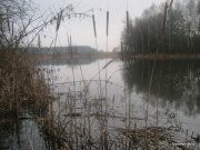 1-IMG_0002.JPG