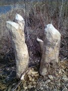 Фото0110.jpg