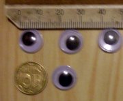 SDC14704.JPG