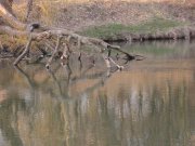 IMG_0547.JPG