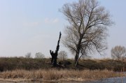 IMG_6369.jpg