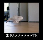 55f9c31746fb.jpg