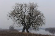 IMG_6543.jpg