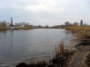 IMG_0161_resize.jpg