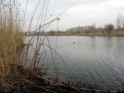 IMG_0169_resize.jpg