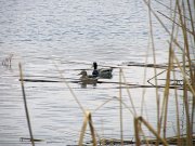 IMG_0170_resize.jpg