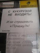obyavleniya_21.jpg