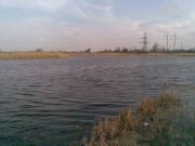 р.Самара.jpg