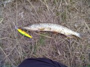 07042012427.jpg