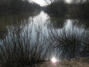 IMG_3042.jpg