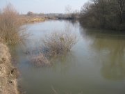 IMG_3043.jpg