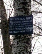 08042012446.jpg
