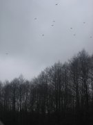 IMG_6880_новый размер.jpg