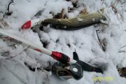 100_3587.jpg