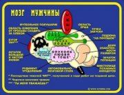 1236927773_mozg_man_001[1].jpg