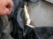 100_1233.jpg
