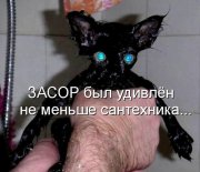 x_28c3712b.jpg