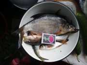 14042012460.jpg