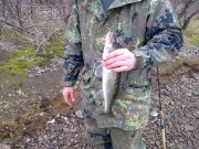 14042012301н.JPG