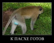 b6a97a4d17ec.jpg