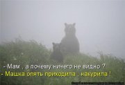 c3a3c5bf36ab.jpg