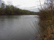 IMG_0217_resize.jpg